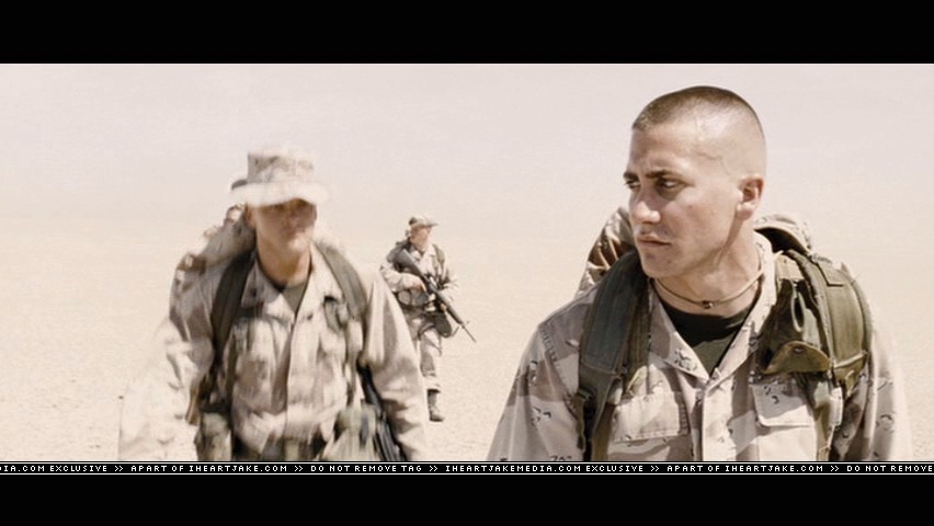 cap825.jpg