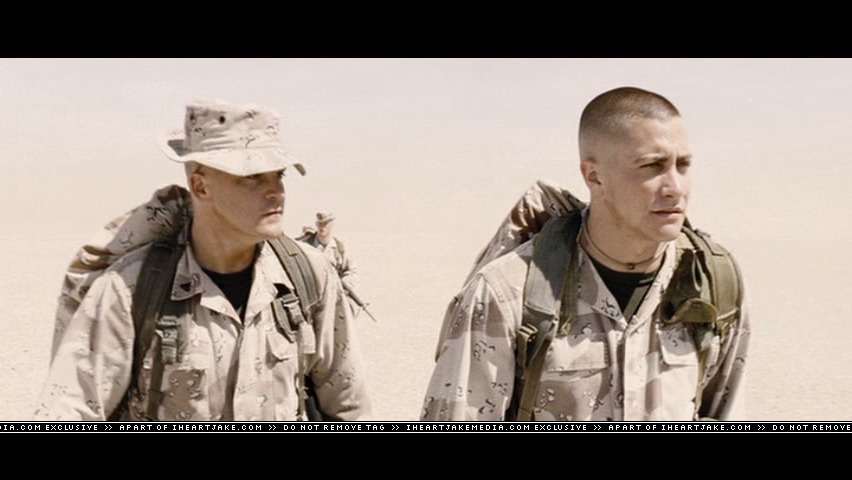 cap826.jpg
