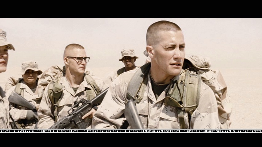cap836.jpg