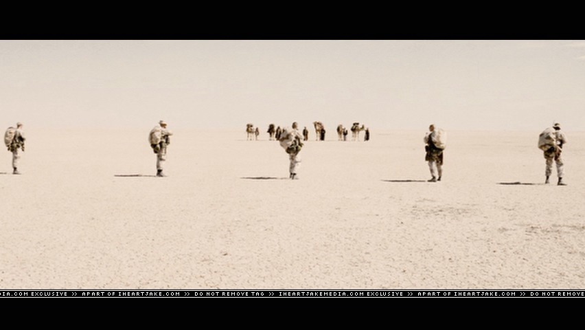 cap843.jpg