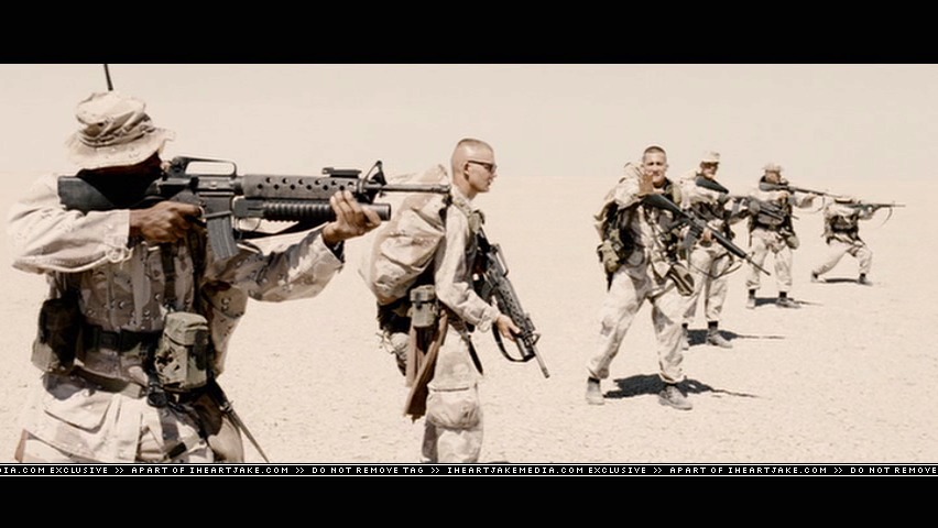 cap845.jpg