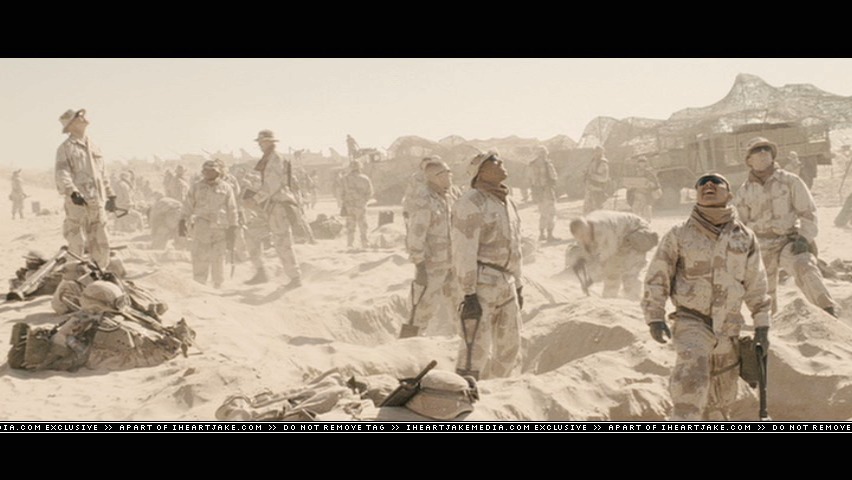 cap873.jpg