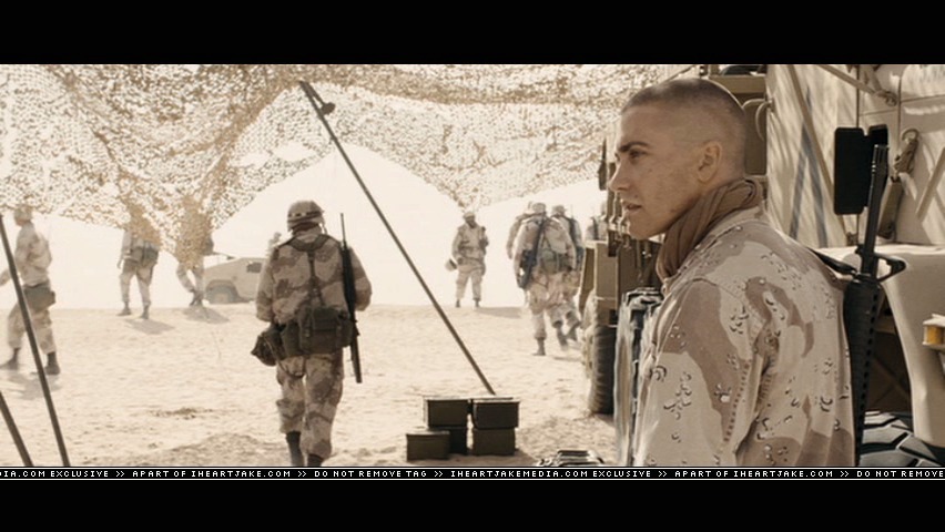 cap883.jpg