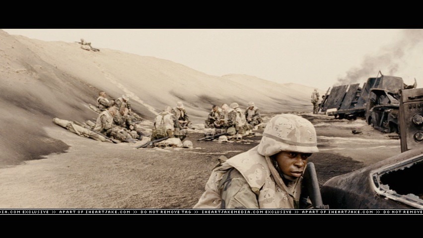 cap951.jpg