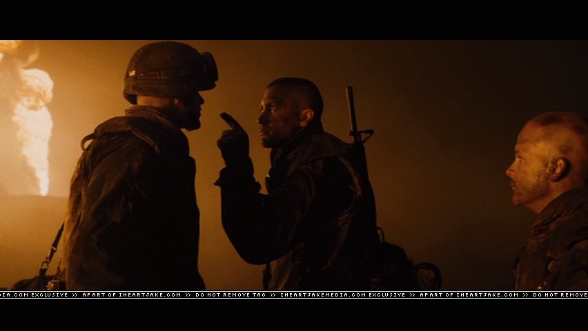 cap981.jpg