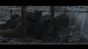 cap288.jpg