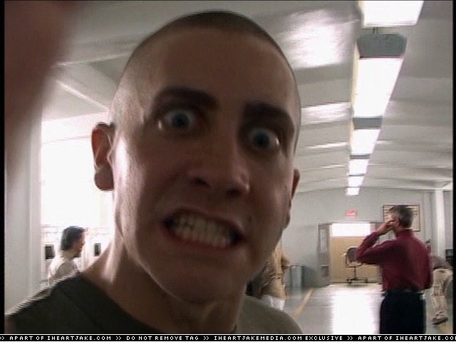 cap228.jpg