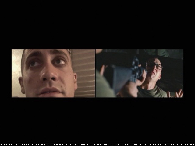 cap281.jpg