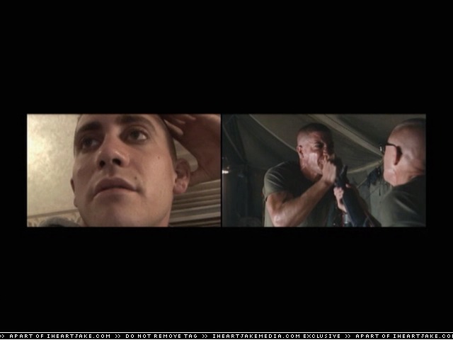 cap306.jpg