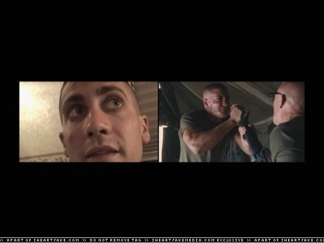 cap308.jpg