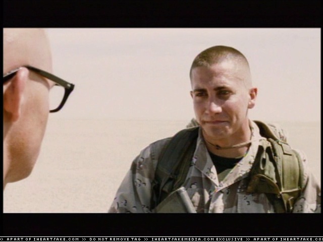 cap313.jpg