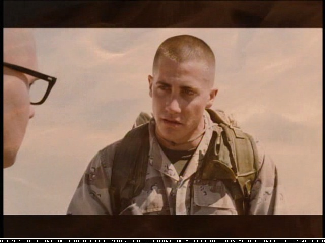 cap314.jpg