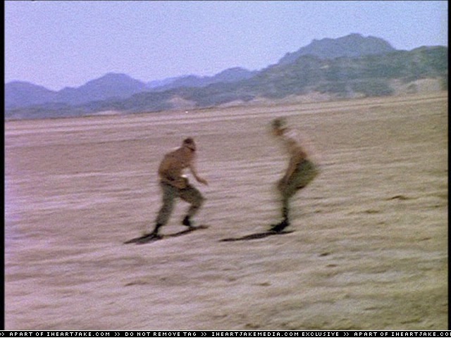 cap381.jpg