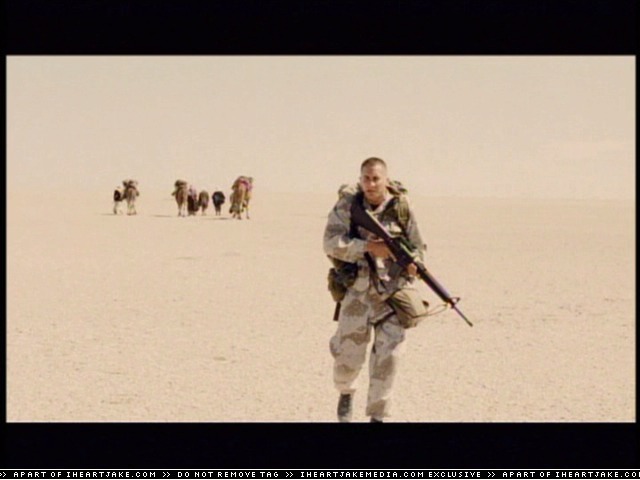 cap463.jpg