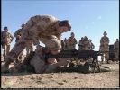 Filename=cap175.jpg
Filesize=85KiB
Dimensions=640x480
Date added=Mar 08, 2006 cap175.jpg