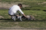 Filename=002.jpg
Filesize=291KiB
Dimensions=1185x778
Date added=May 01, 2007 002.jpg