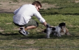Filename=003.jpg
Filesize=205KiB
Dimensions=966x618
Date added=May 01, 2007 003.jpg