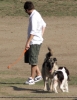 Filename=023.jpg
Filesize=353KiB
Dimensions=1200x1556
Date added=May 01, 2007 023.jpg