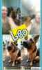 Filename=042.jpg
Filesize=89KiB
Dimensions=592x960
Date added=Jun 28, 2016 042.jpg