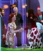 Filename=014.jpg
Filesize=167KiB
Dimensions=381x450
Date added=Mar 18, 2017 014.jpg