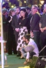 Filename=027.jpg
Filesize=139KiB
Dimensions=301x449
Date added=Mar 18, 2017 027.jpg