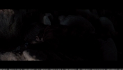 Filename=000281.jpg
Filesize=145KiB
Dimensions=1024x576
Date added=May 15, 2017 000281.jpg