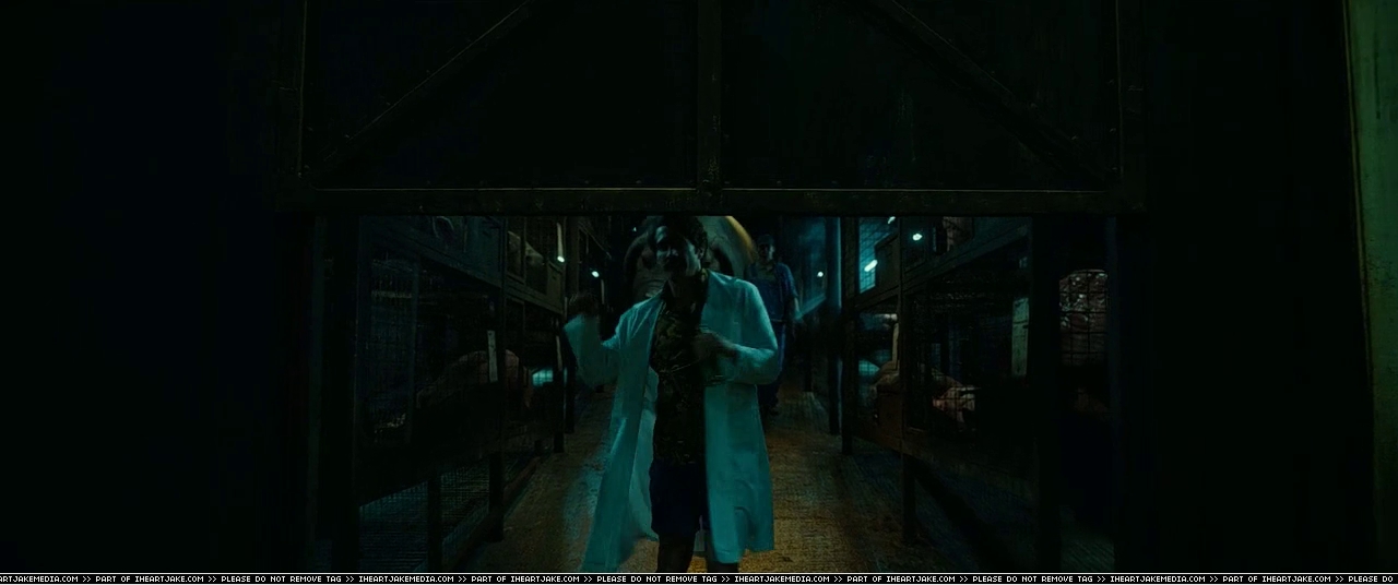 000395.jpg