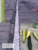 Filename=005.jpg
Filesize=2037KiB
Dimensions=1536x1996
Date added=Feb 07, 2018 005.jpg