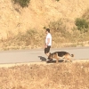Filename=001.jpg
Filesize=129KiB
Dimensions=1080x1080
Date added=May 09, 2018 001.jpg