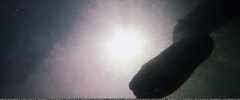 Filename=000481.jpg
Filesize=516KiB
Dimensions=1920x800
Date added=Apr 23, 2019 000481.jpg