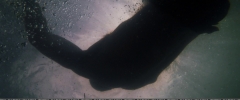 Filename=000486.jpg
Filesize=601KiB
Dimensions=1920x800
Date added=Apr 23, 2019 000486.jpg