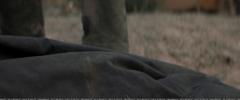 Filename=000591.jpg
Filesize=550KiB
Dimensions=1920x800
Date added=Apr 23, 2019 000591.jpg