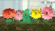 Filename=000049.jpg
Filesize=895KiB
Dimensions=1920x1080
Date added=Apr 10, 2022 000049.jpg