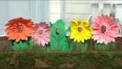 Filename=000050.jpg
Filesize=915KiB
Dimensions=1920x1080
Date added=Apr 10, 2022 000050.jpg