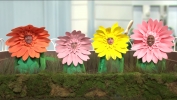 Filename=000051.jpg
Filesize=893KiB
Dimensions=1920x1080
Date added=Apr 10, 2022 000051.jpg