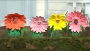 Filename=000054.jpg
Filesize=897KiB
Dimensions=1920x1080
Date added=Apr 10, 2022 000054.jpg