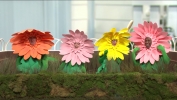 Filename=000055.jpg
Filesize=906KiB
Dimensions=1920x1080
Date added=Apr 10, 2022 000055.jpg