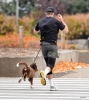 Filename=022.jpg
Filesize=1090KiB
Dimensions=1200x1341
Date added=Nov 06, 2024 022.jpg