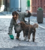 Filename=037.jpg
Filesize=612KiB
Dimensions=1200x1331
Date added=May 19, 2025 037.jpg
